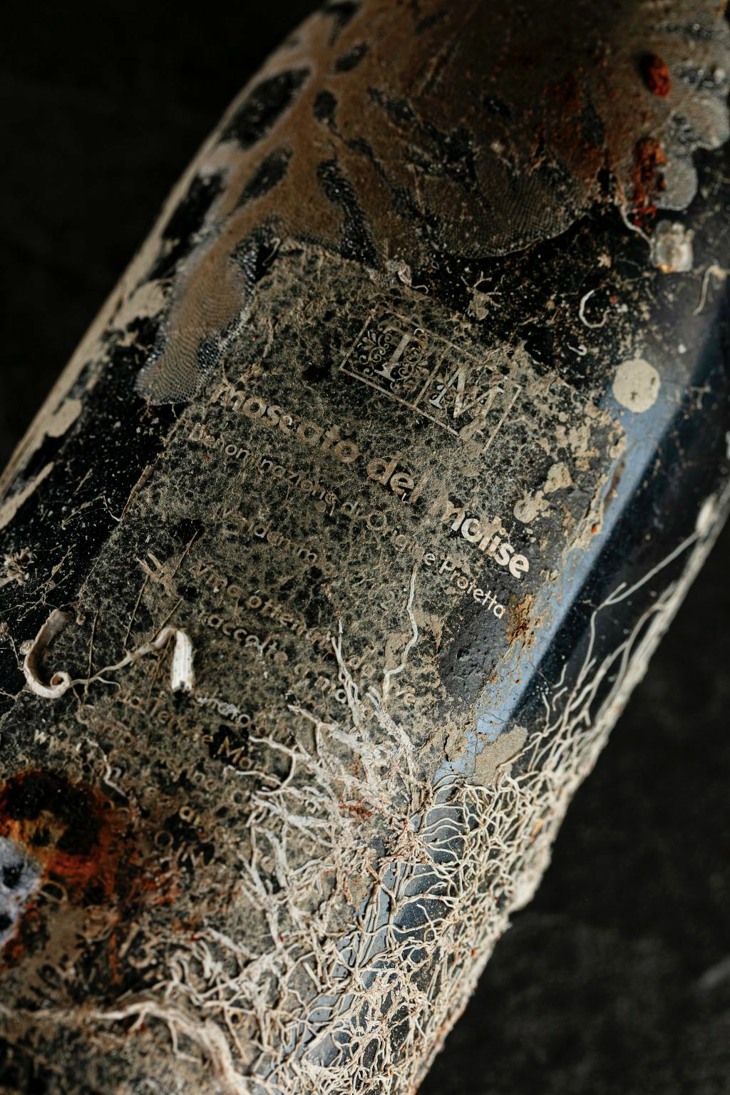 Close-up zeesporen op de fles